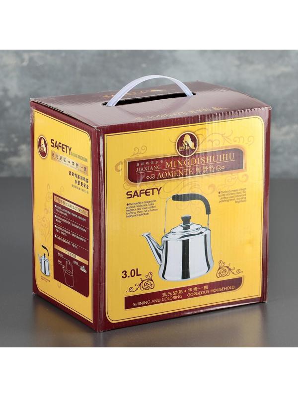 Чайник из нержавеющей стали «Чайковский», 3 л