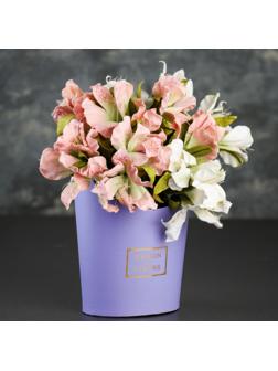 Переноска для цветов 19 х 15 х 10 см