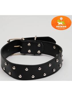 Ошейник клепаный в 2 ряда, 63,5 х 3,8 см, черный