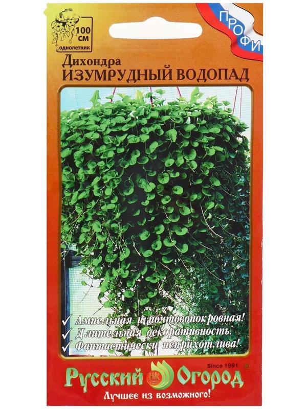 Семена цветов Дихондра 