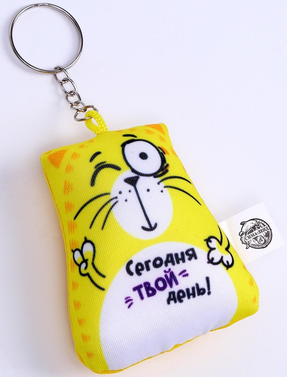 Брелок-антистресс «Сегодня твой день!», кот, 6х7 см