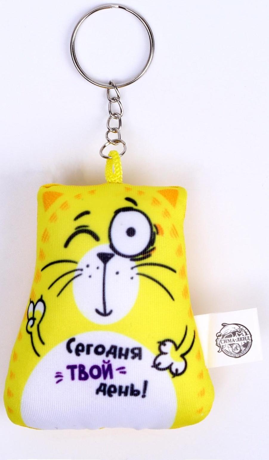 Брелок-антистресс «Сегодня твой день!», кот, 6х7 см