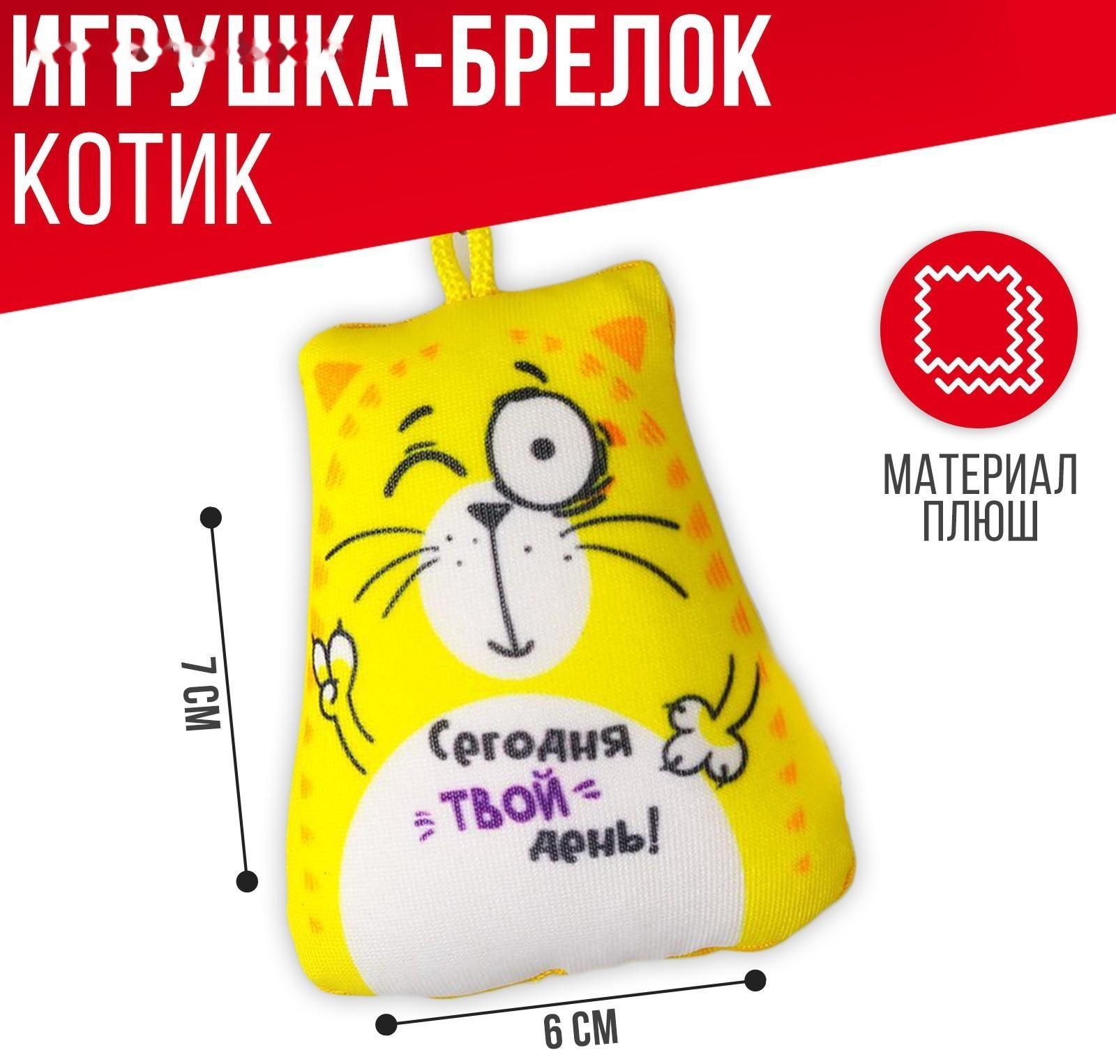 Брелок-антистресс «Сегодня твой день!», кот, 6х7 см