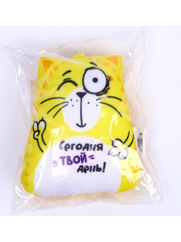 Брелок-антистресс «Сегодня твой день!», кот, 6х7 см