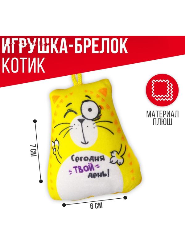 Брелок-антистресс «Сегодня твой день!», кот, 6х7 см