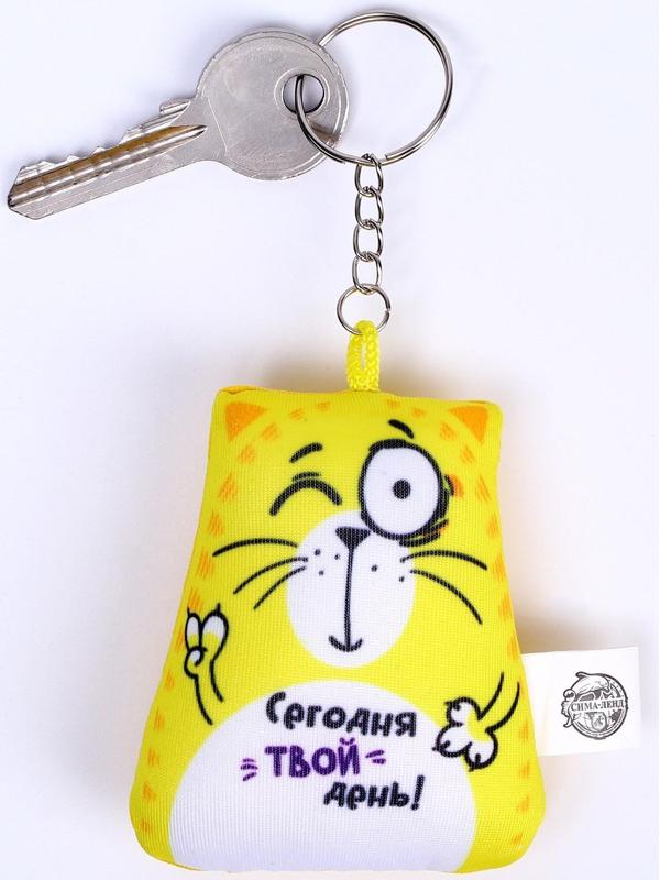 Брелок-антистресс «Сегодня твой день!», кот, 6х7 см