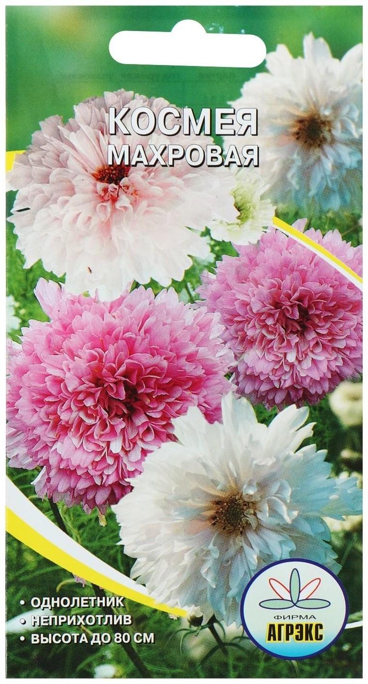 Семена цветов Космея махровая, О, 0,2 г