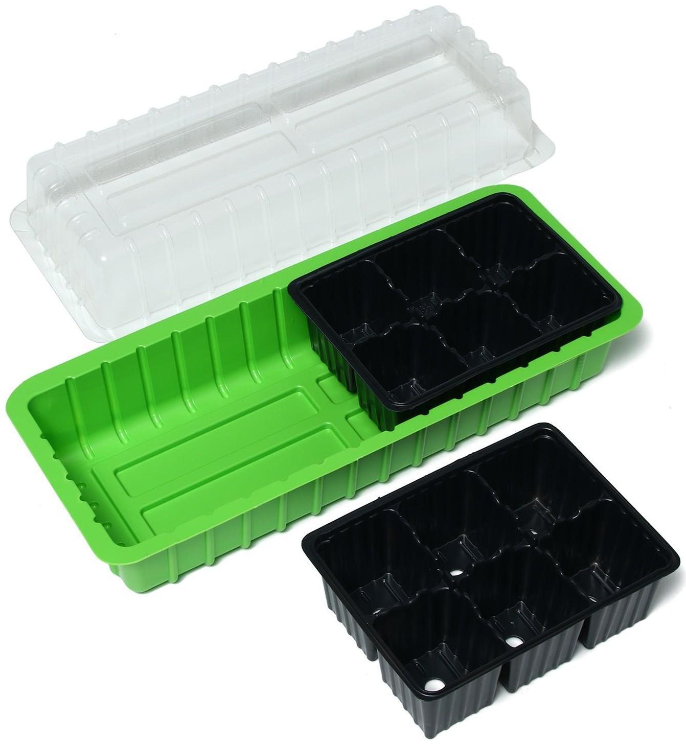 Мини-парник для рассады, 38 × 17 × 12 см, 2 вставки, 12 ячеек, Greengo