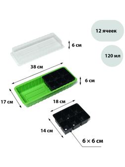 Мини-парник для рассады, 38 × 17 × 12 см, 2 вставки, 12 ячеек, Greengo
