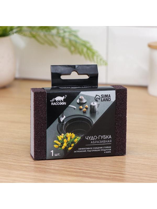Губка чистящая Raccoon «Чудо-губка», 10,5×7×2,5 см