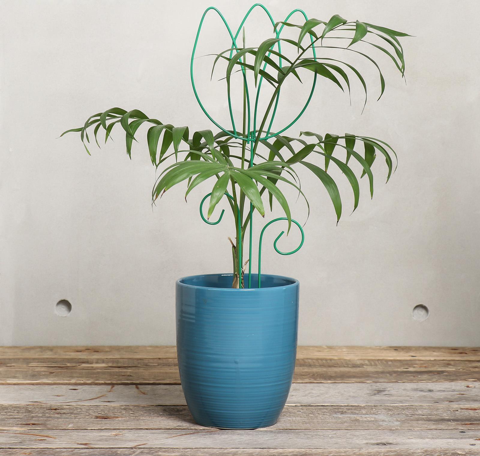 Шпалера, 45 × 15 × 0.3 см, металл, зелёная, «Тюльпан», цвет МИКС