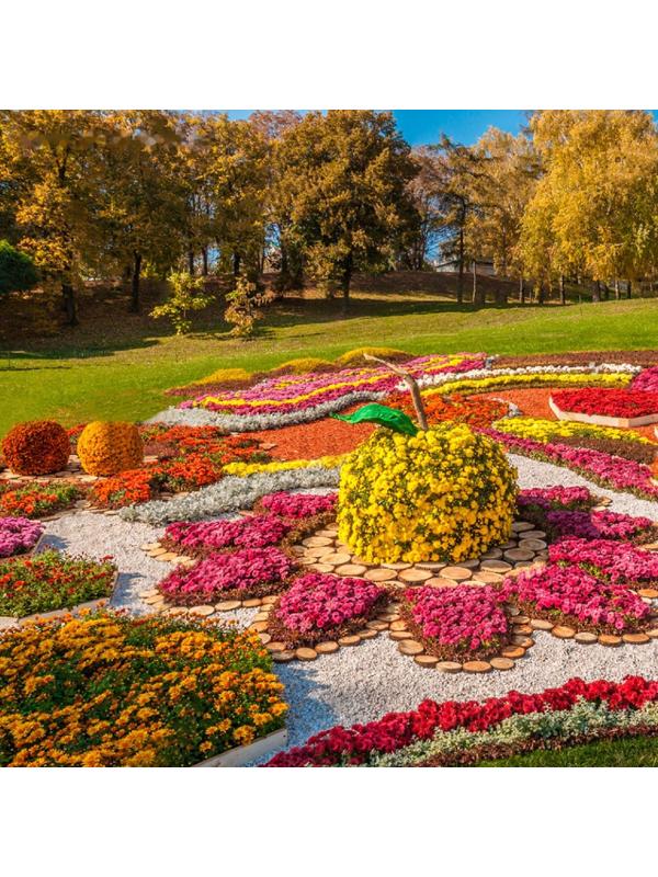 Щепа декоративная, красная 60л.