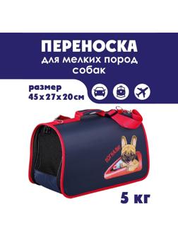 Сумка-переноска раскладная, каркасная «Погнали!» 45x27x20 см