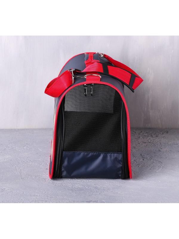 Сумка-переноска раскладная, каркасная «Погнали!» 45x27x20 см