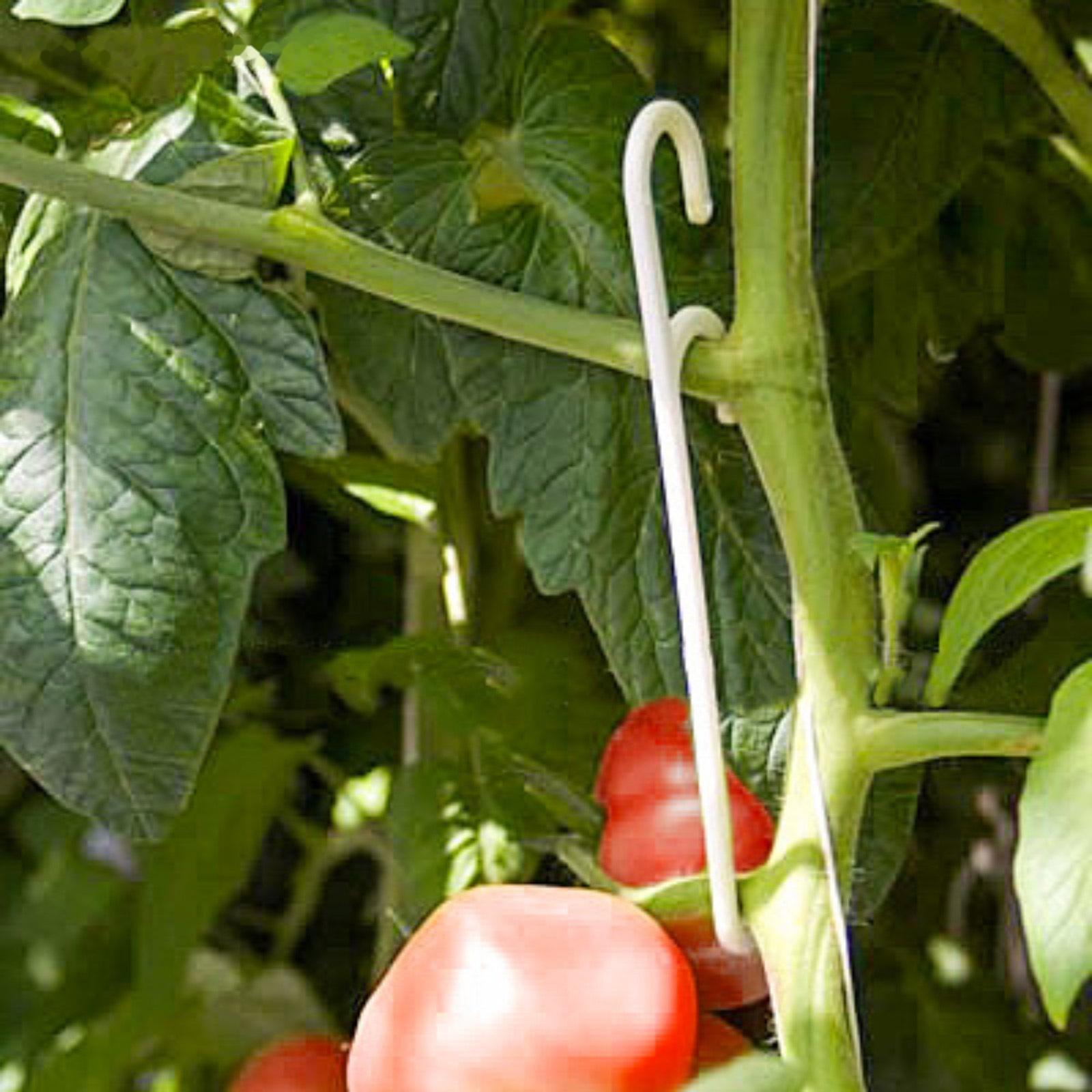 Кистедержатель «Двойной крюк», Greengo