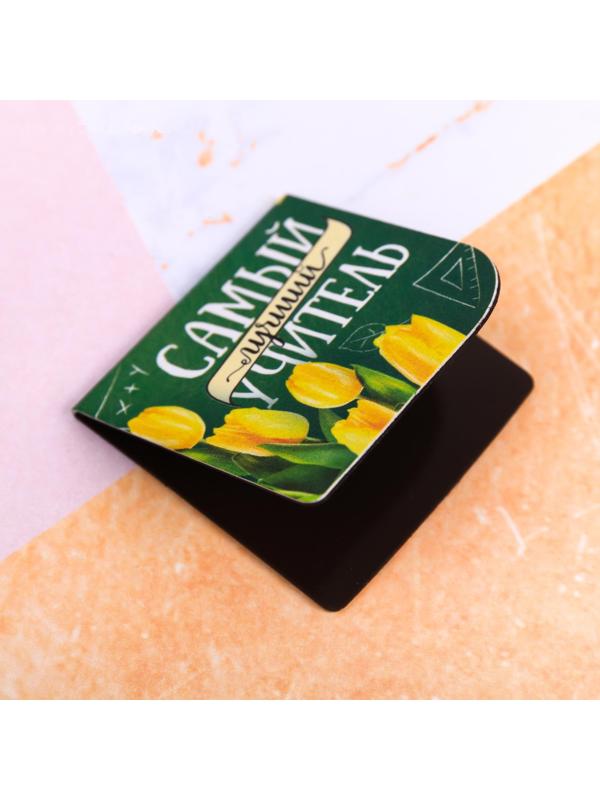 Магнитные закладки «Любимому учителю», 4 шт