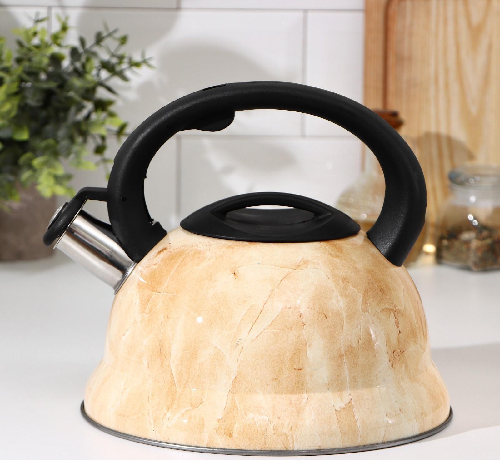 Чайник со свистком из нержавеющей стали Доляна «Скоттиш», 2,8 л