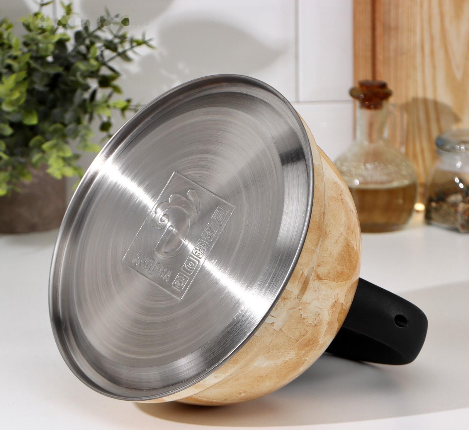 Чайник со свистком из нержавеющей стали Доляна «Скоттиш», 2,8 л