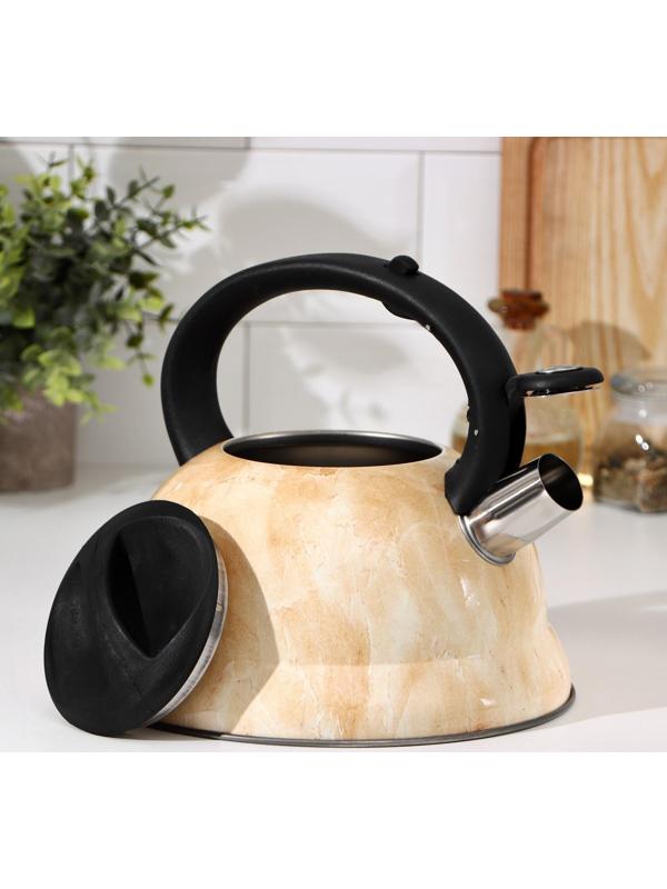 Чайник со свистком из нержавеющей стали Доляна «Скоттиш», 2,8 л