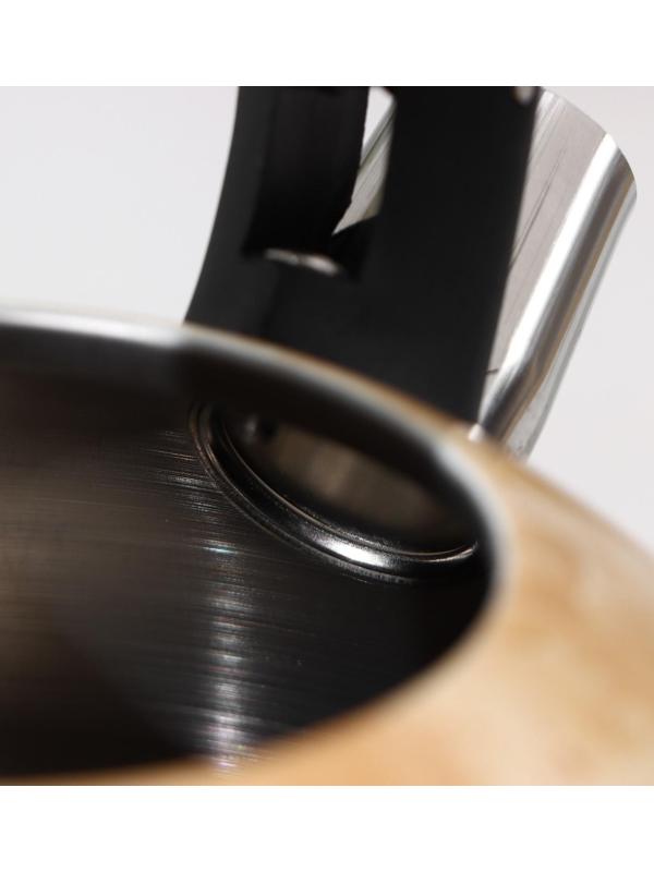 Чайник со свистком из нержавеющей стали Доляна «Скоттиш», 2,8 л