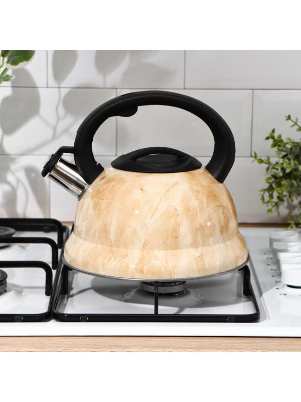 Чайник со свистком из нержавеющей стали Доляна «Скоттиш», 2,8 л