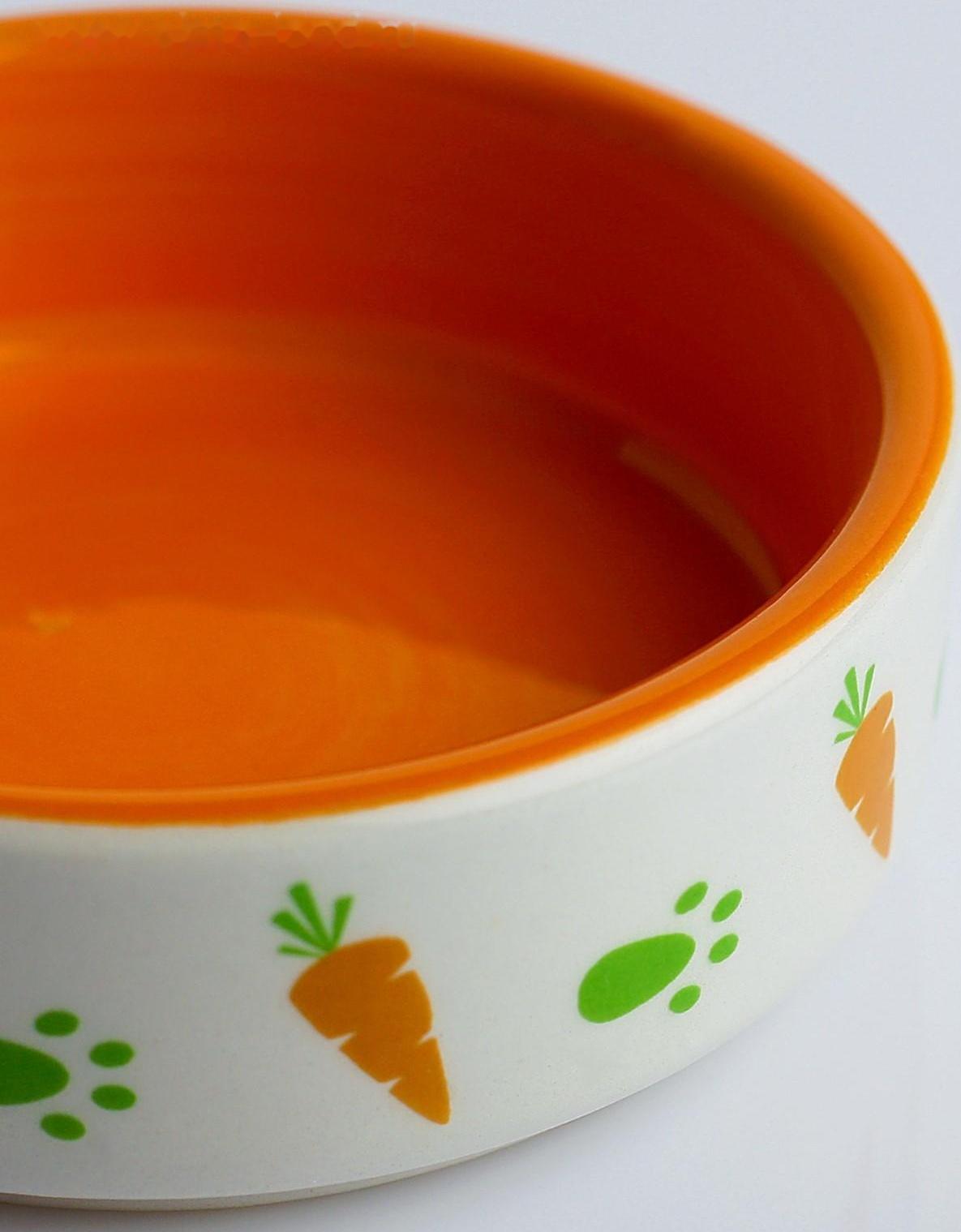 Миска керамическая для грызунов двухцветная с морковками, 100 мл, 8,8х8,8х3 см, оранжево-белая
