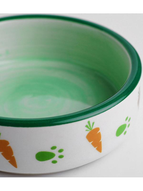 Миска керамическая для грызунов двухцветная с морковками, 100 мл, 8,8х8,8х3 см, зелёно-белая