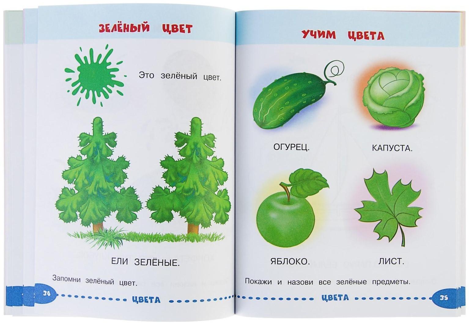 Развивающие задания для маленьких непосед «Занимаемся с мамой: для детей 1-2 лет», Александрова О. В.