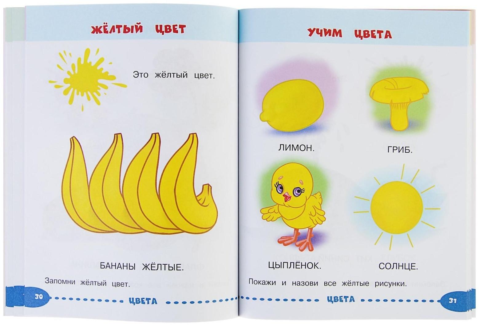 Развивающие задания для маленьких непосед «Занимаемся с мамой: для детей 1-2 лет», Александрова О. В.