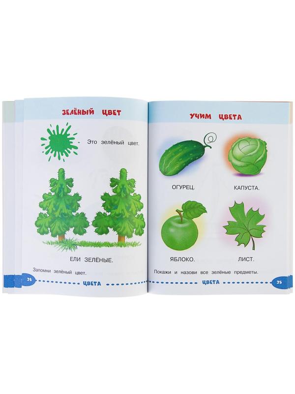 Развивающие задания для маленьких непосед «Занимаемся с мамой: для детей 1-2 лет», Александрова О. В.