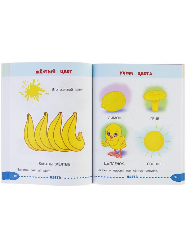 Развивающие задания для маленьких непосед «Занимаемся с мамой: для детей 1-2 лет», Александрова О. В.