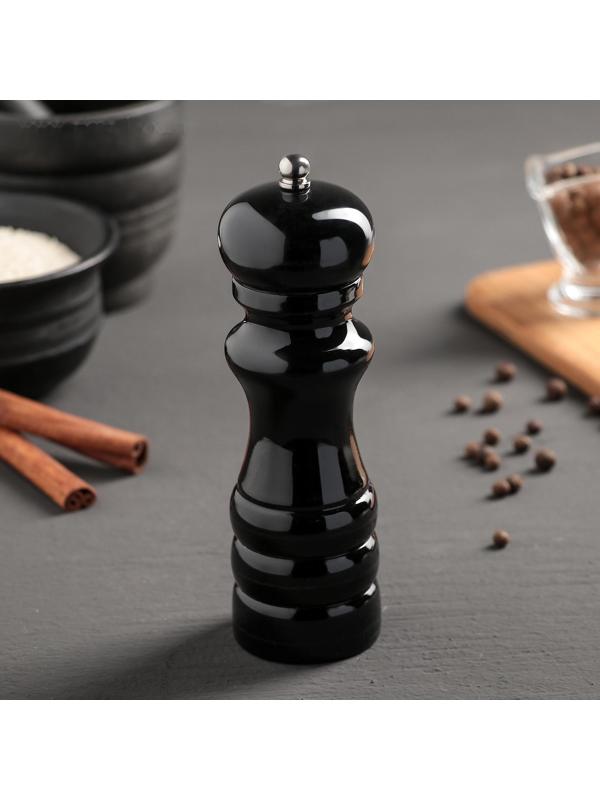 Мельница для специй  «Краски», 16 см, цвет чёрный