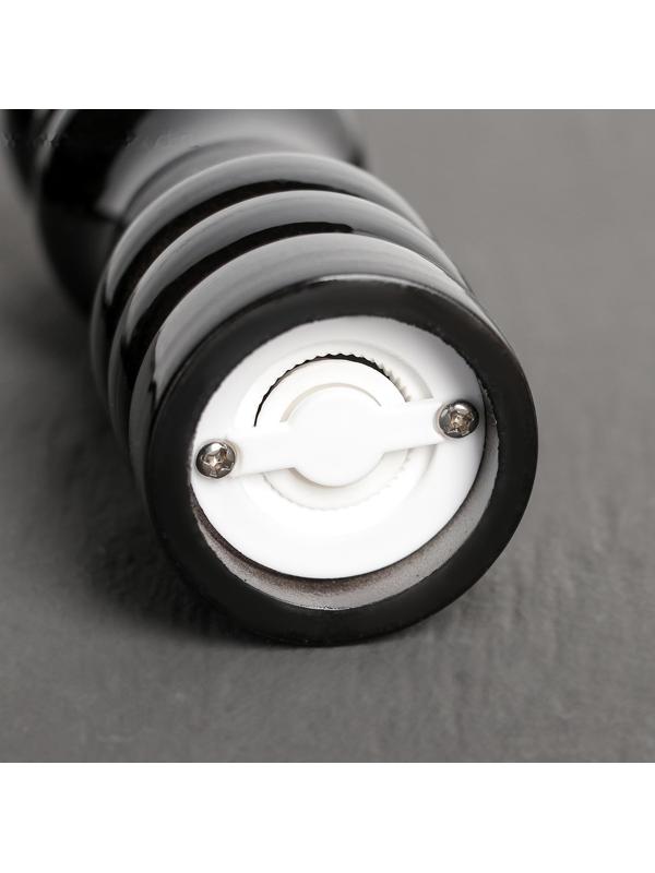 Мельница для специй  «Краски», 16 см, цвет чёрный