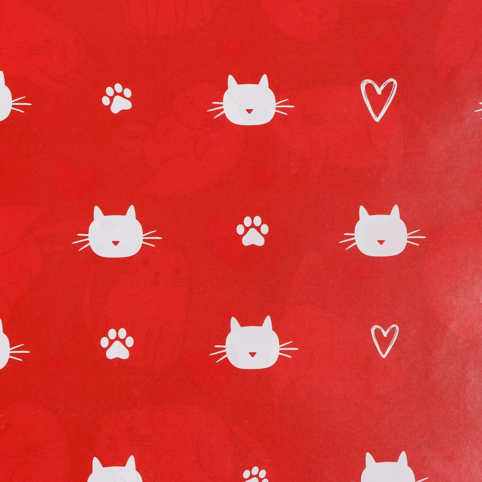 Бумага упаковочная глянцевая двусторонняя «Коты», 70 × 100 см / 10 шт.