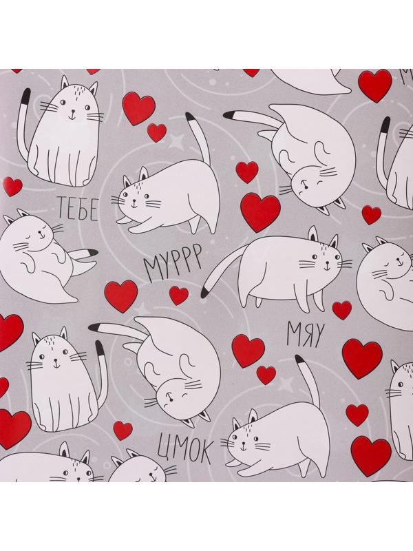 Бумага упаковочная глянцевая двусторонняя «Коты», 70 × 100 см / 10 шт.