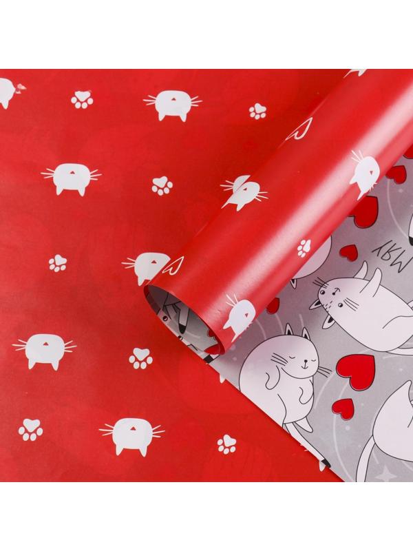 Бумага упаковочная глянцевая двусторонняя «Коты», 70 × 100 см / 10 шт.