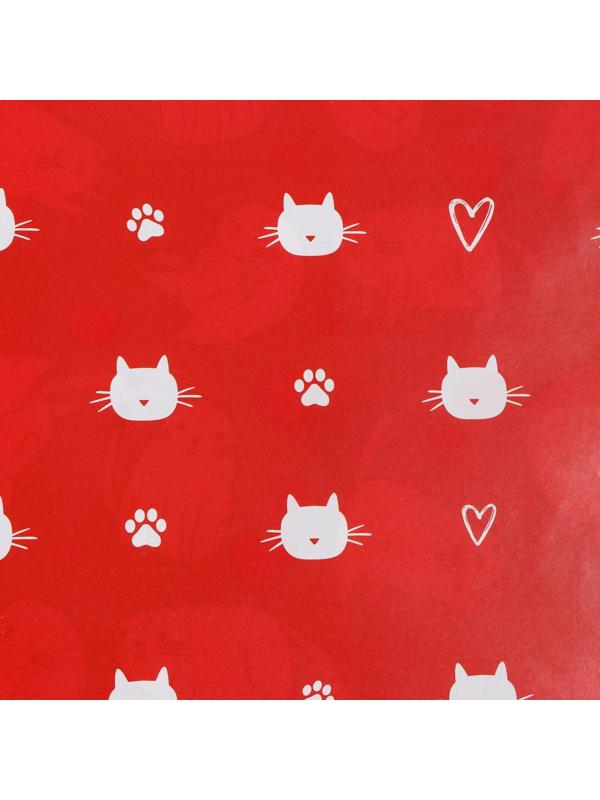 Бумага упаковочная глянцевая двусторонняя «Коты», 70 × 100 см / 10 шт.