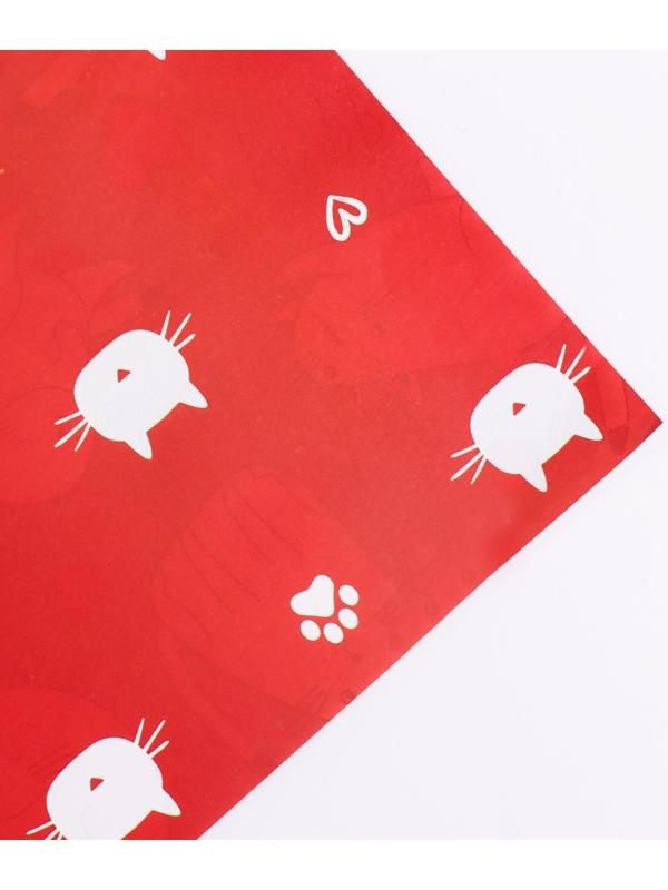 Бумага упаковочная глянцевая двусторонняя «Коты», 70 × 100 см / 10 шт.