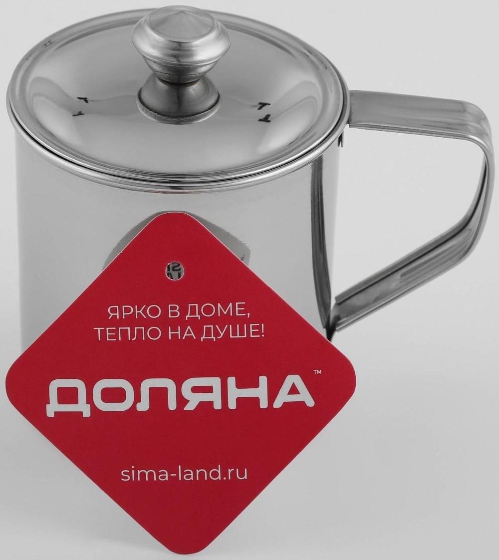 Кружка из нержавеющей стали Доляна «Тарун», 300 мл, 11×7,7×10 см, с крышкой