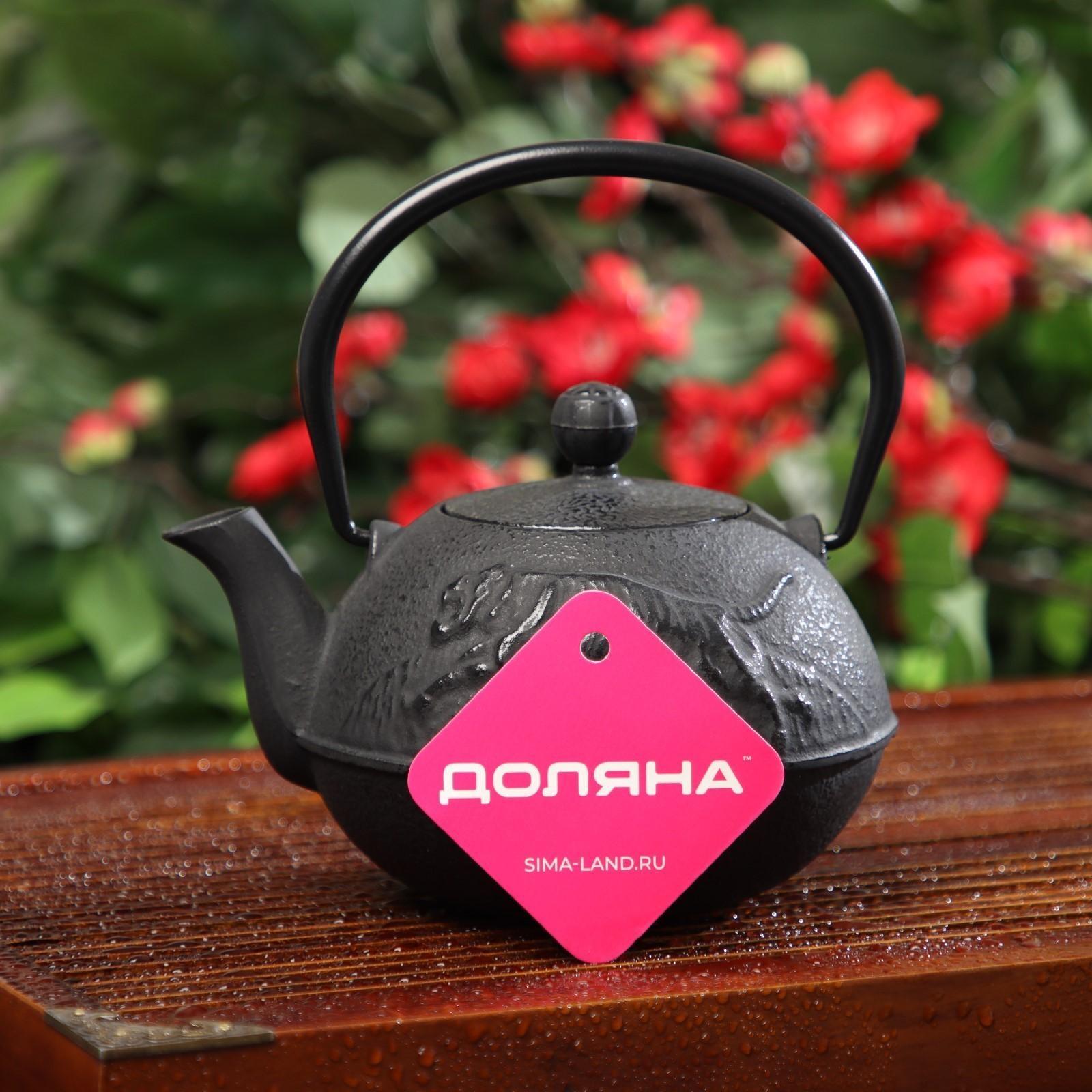Чайник чугунный Доляна «Чёрный тигр», 700 мл, с ситом, эмалированное покрытие внутри, цвет чёрный