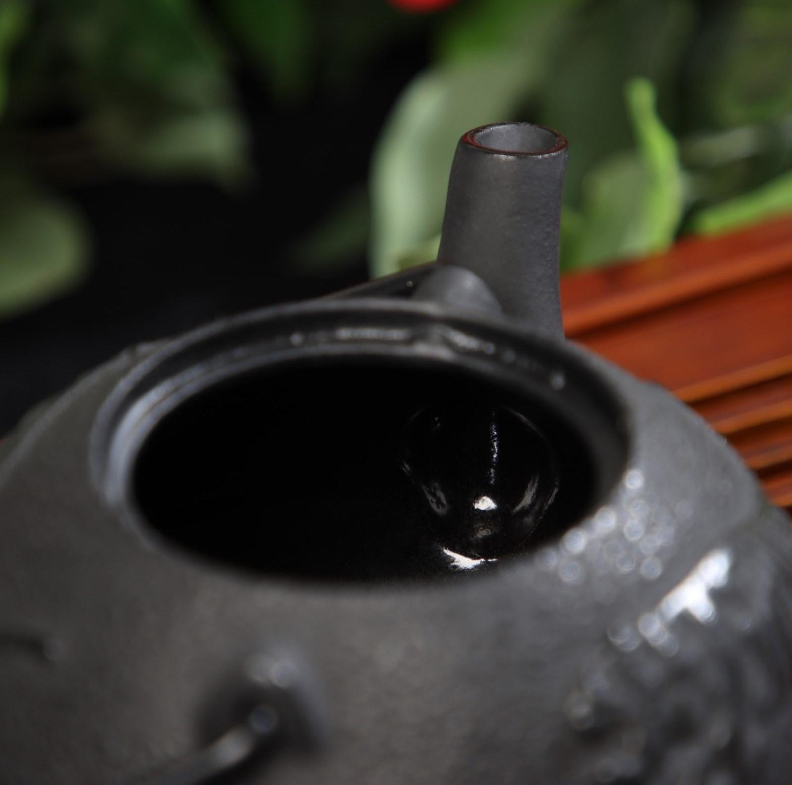 Чайник чугунный Доляна «Чёрный тигр», 700 мл, с ситом, эмалированное покрытие внутри, цвет чёрный