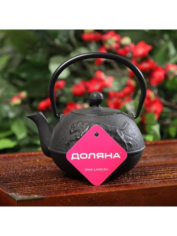 Чайник чугунный Доляна «Чёрный тигр», 700 мл, с ситом, эмалированное покрытие внутри, цвет чёрный