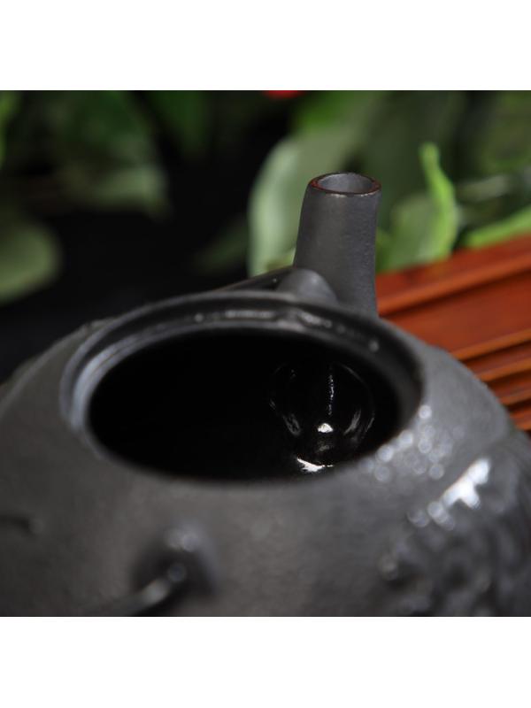 Чайник чугунный Доляна «Чёрный тигр», 700 мл, с ситом, эмалированное покрытие внутри, цвет чёрный