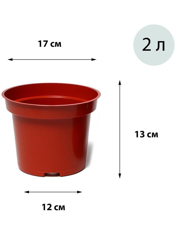 Горшок для рассады, 2 л, d = 17 см, h = 13 см, терракот, Greengo