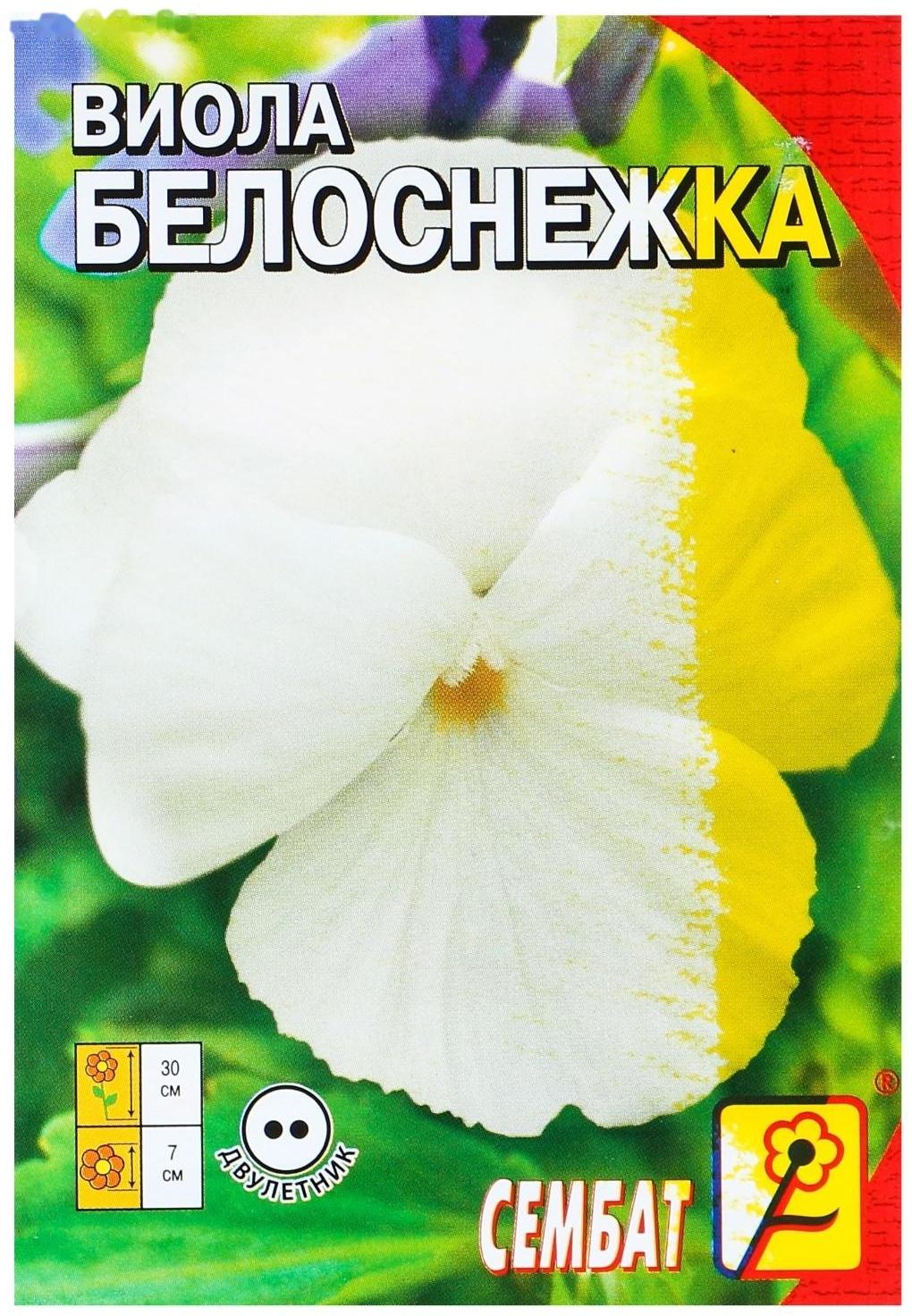 Семена цветов Виола 