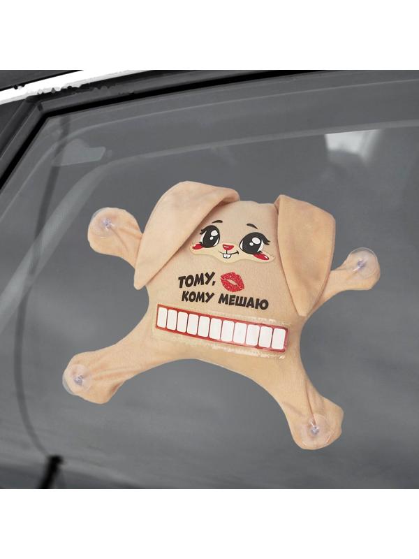 Автоигрушка на присосках «Тому, кому мешаю», зайчик, 25 см х 4 см х 28 см, с карточкой для записи номера