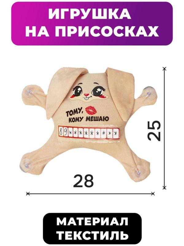 Автоигрушка на присосках «Тому, кому мешаю», зайчик, 25 см х 4 см х 28 см, с карточкой для записи номера