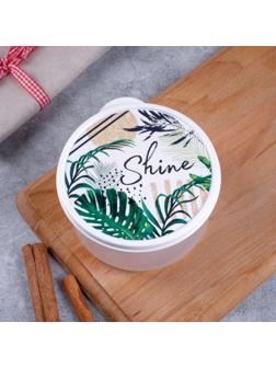 Ланч-бокс «Shine», 500 мл