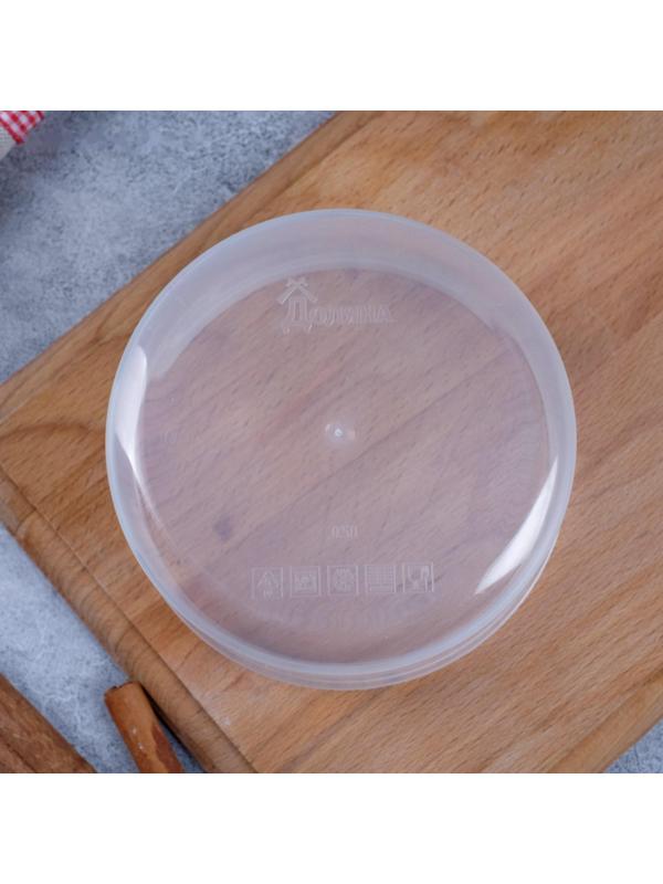 Ланч-бокс «Shine», 500 мл