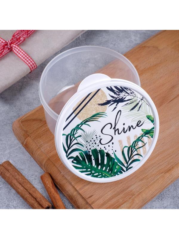 Ланч-бокс «Shine», 500 мл